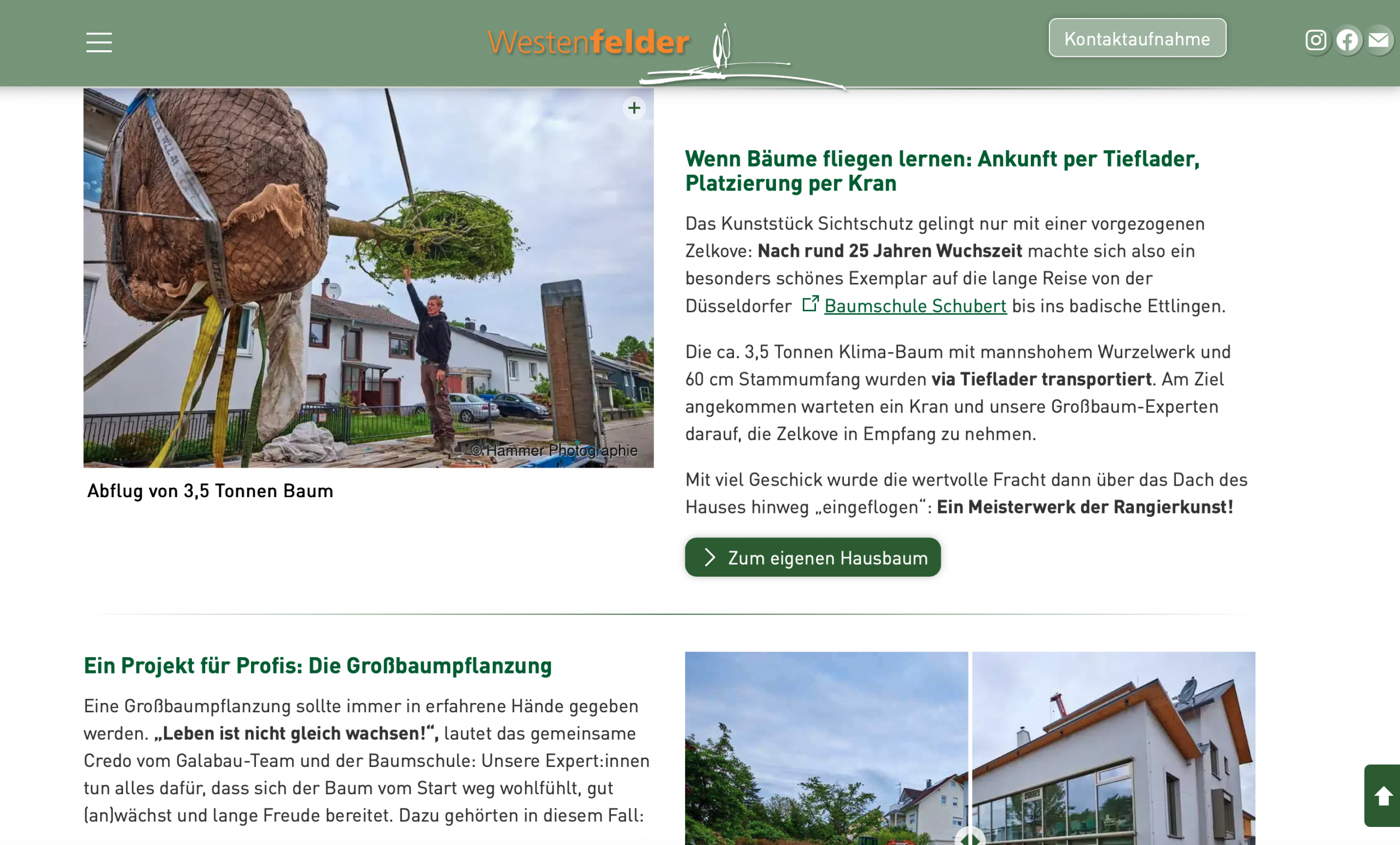 Corporate Blogging Großbaumpflanzung Westenfelder Galabau