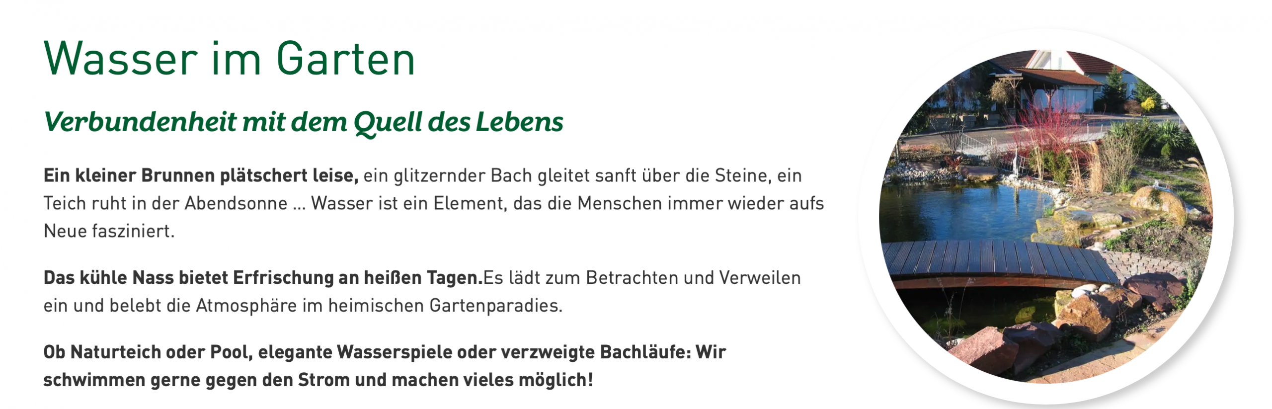 Firmenwebsite Verdefaktur Screenshot Leistungsbeschreibung